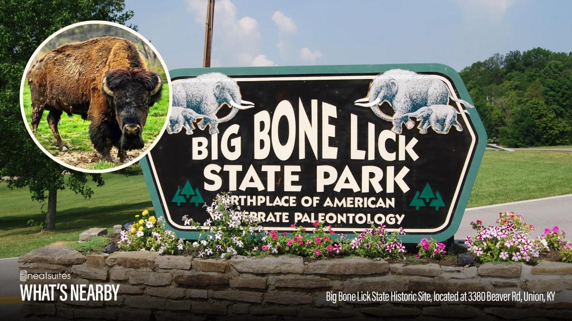 The Lodges At Eden Reserve - Safari Tents 威廉斯敦 外观 照片