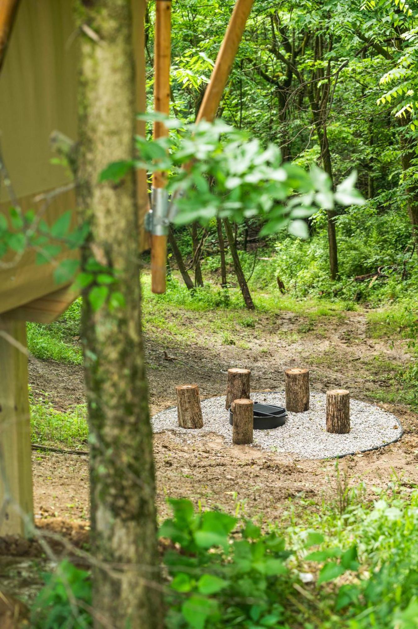 The Lodges At Eden Reserve - Safari Tents 威廉斯敦 外观 照片